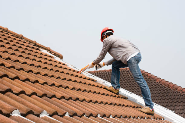 Best Metal Roofing Installation  in Marshfield, MO